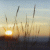 977.gif